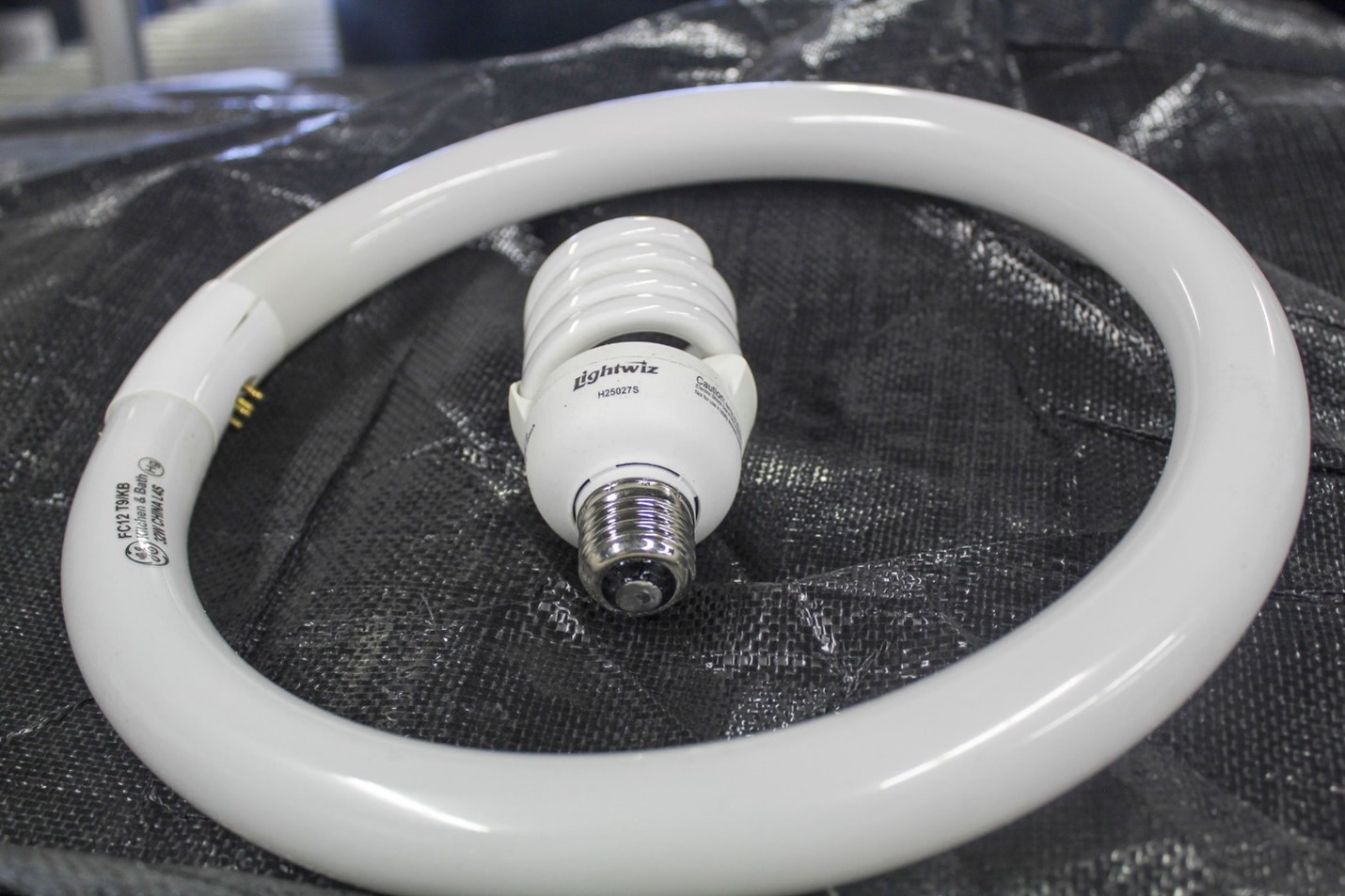 A coiled fluorescent bulb laying in the center of a ring-shaped fluorescent tube 